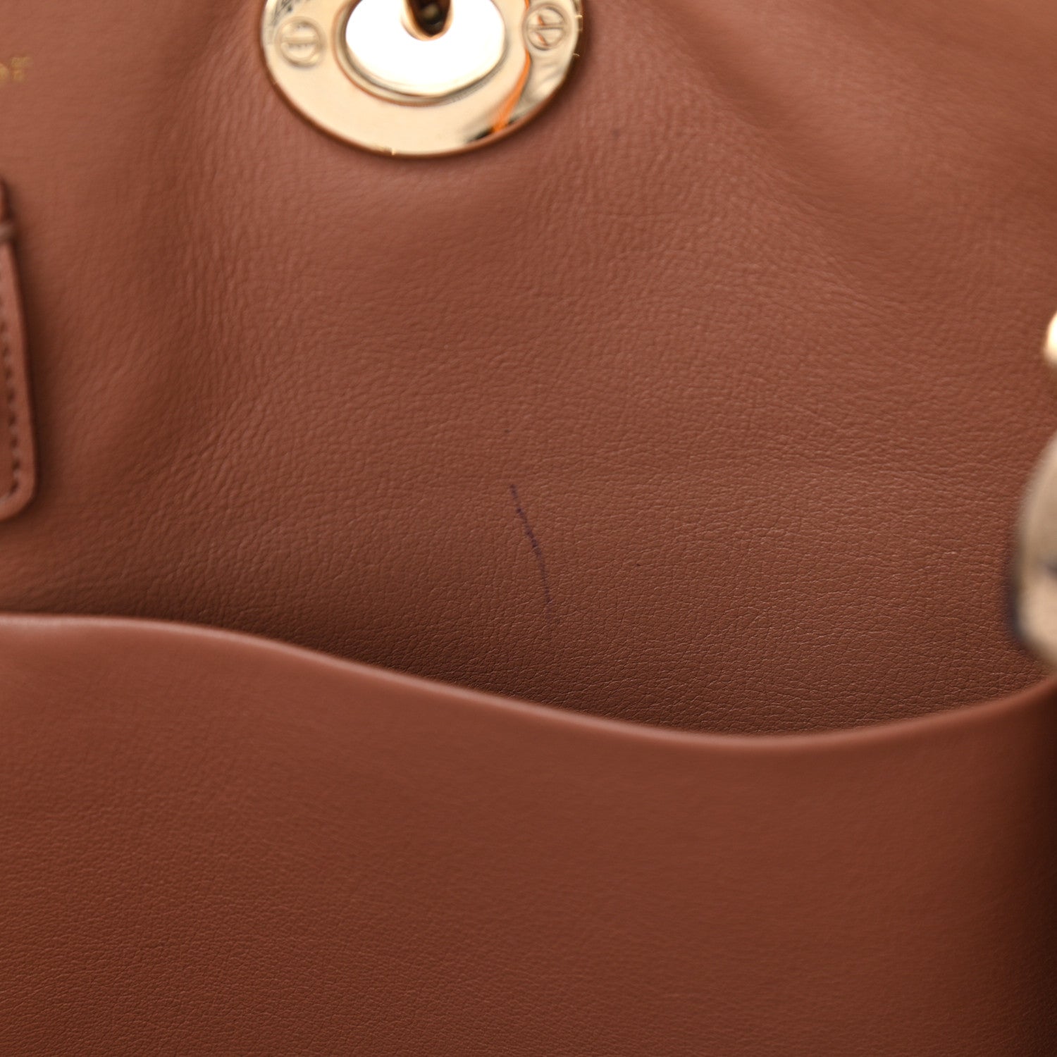 Christian Dior Bullcalf Large Diorissimo Tote Beige Petale 10 of 28