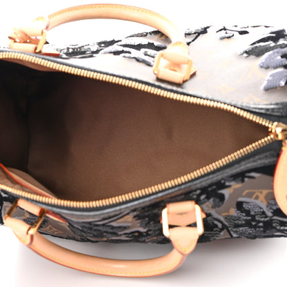Louis Vuitton Monogram Fleur De Jais Sequins Speedy 30 5 of 14