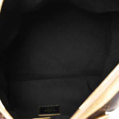 Louis Vuitton Monogram Leopard Stephen Bag 5 of 9