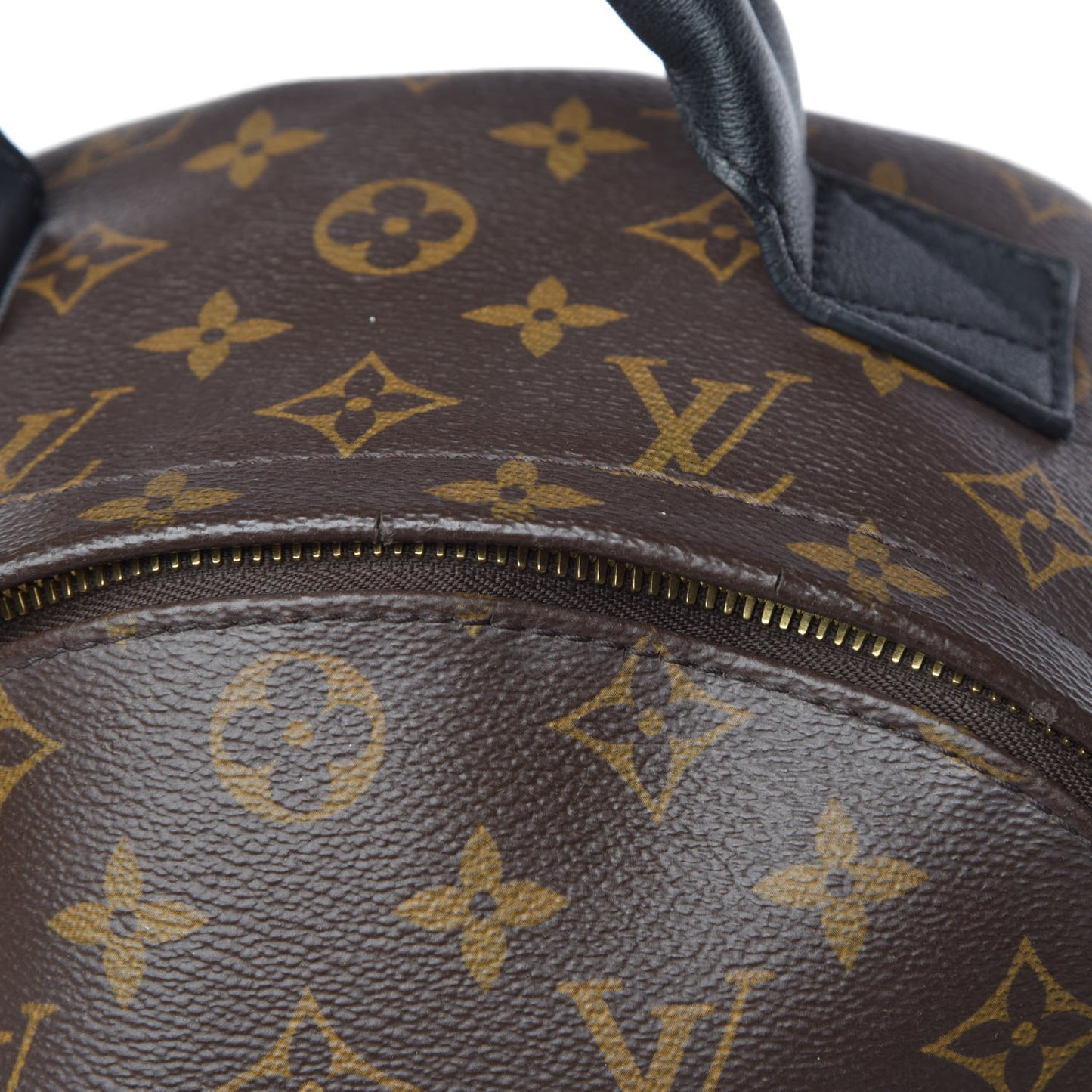 Monogram Palm Springs Backpack MM