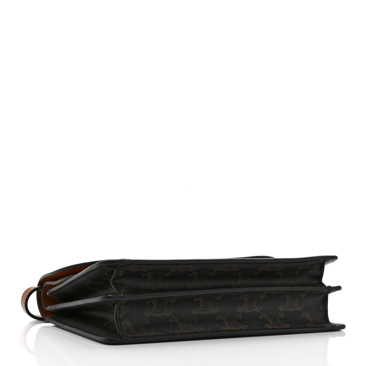 Triomphe Canvas Lambskin Wallet On Strap Tan