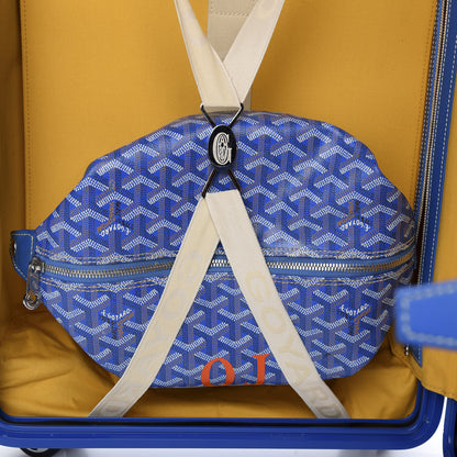 Goyard Goyardine Bourget PM Sky Blue 5 of 9