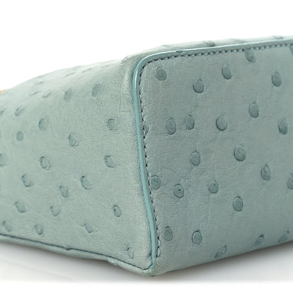 Loro Piana Ostrich L19 Extra Pocket Pouch Light Blue 8 of 9