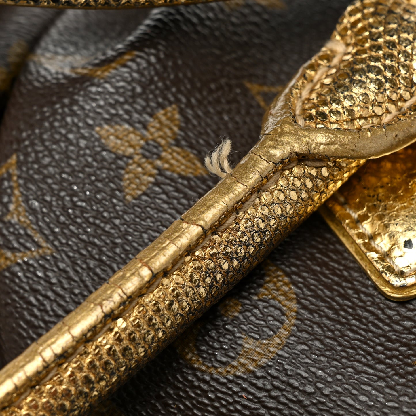 Monogram Leopard Stephen Bag