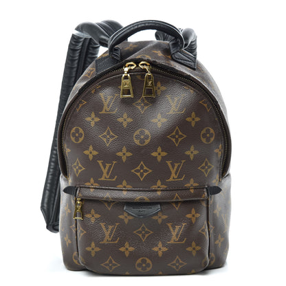 Louis Vuitton Monogram Palm Springs Backpack PM 1 of 11