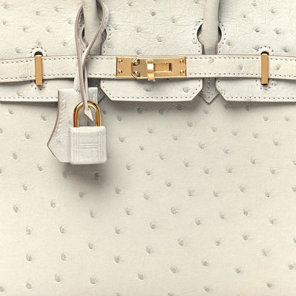 Hermes Ostrich Birkin Sellier 25 Gris Perle 7 of 10