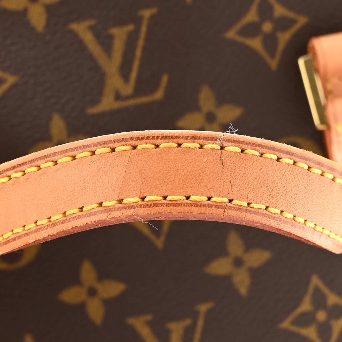 Monogram Vavin PM