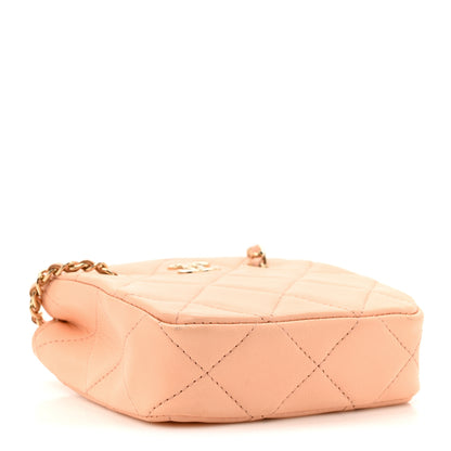Chanel Lambskin Quilted Tiny Shopping Clutch With Chain Light Beige 4 of 15