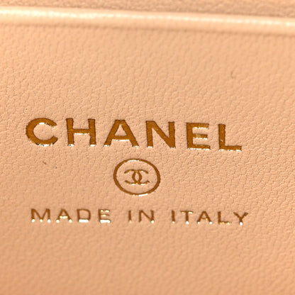 Chanel Braided Raffia Quilted Top Handle Slim Vanity Case With Chain Beige 6 of 10