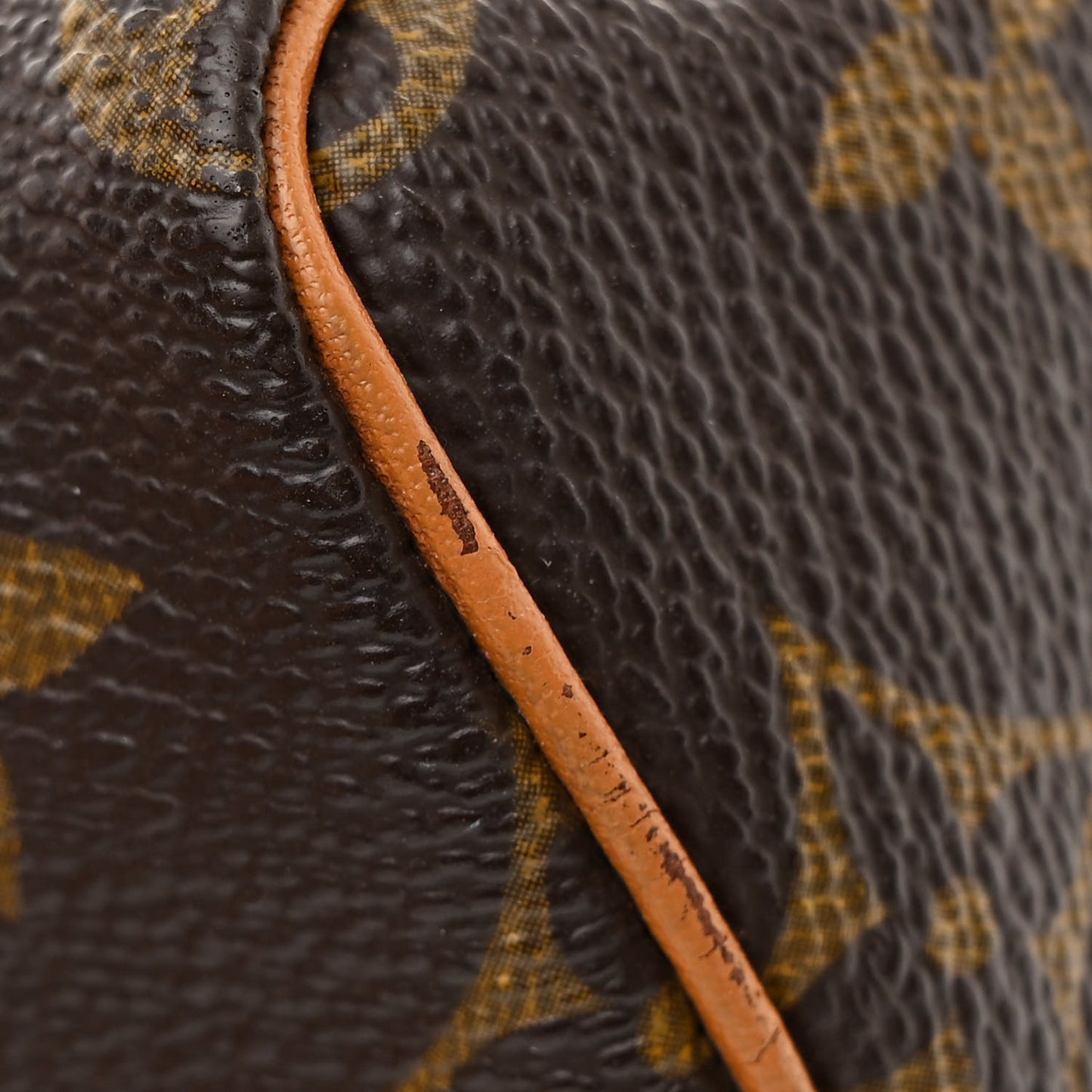 Monogram Mini Sac HL Speedy