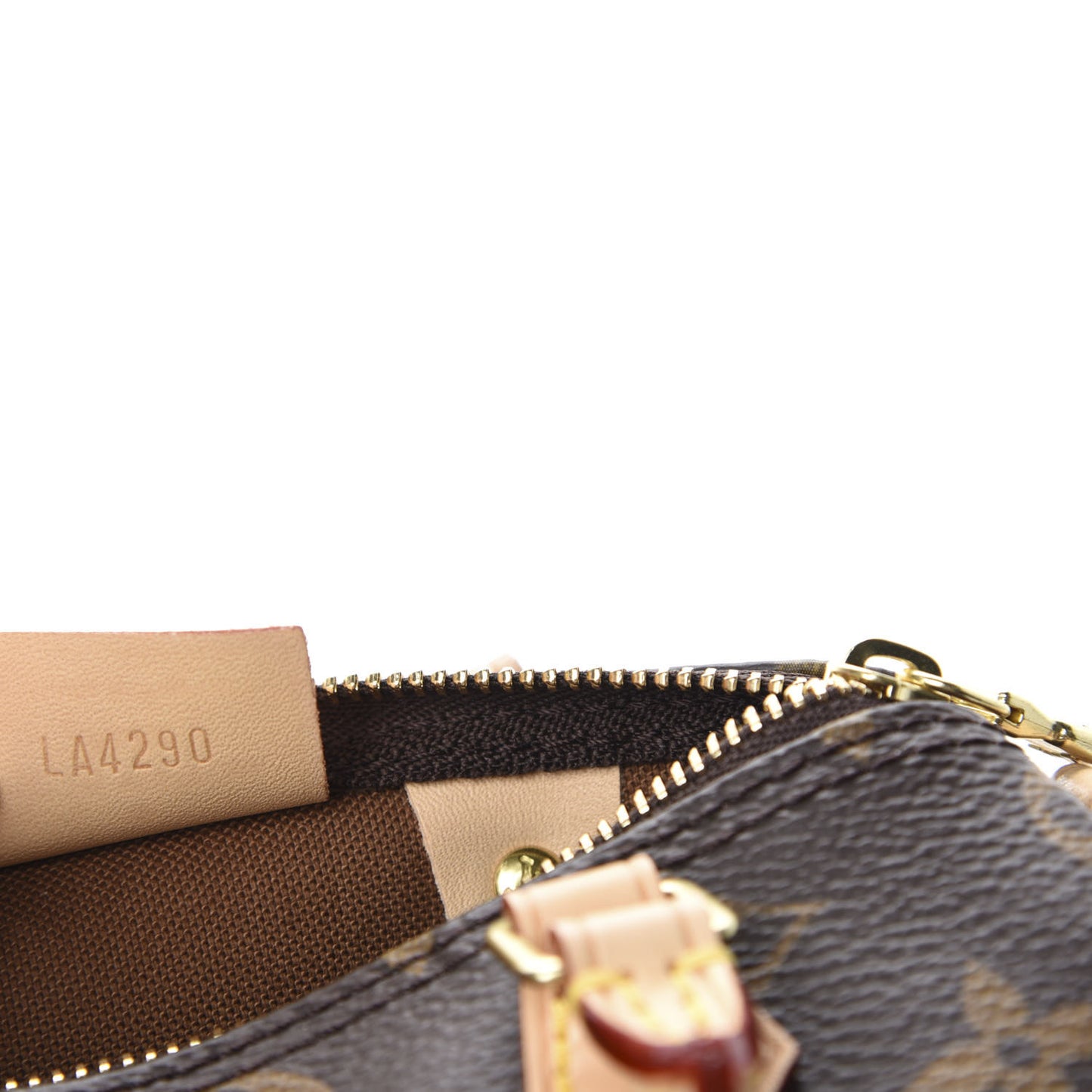 Monogram Nano Speedy