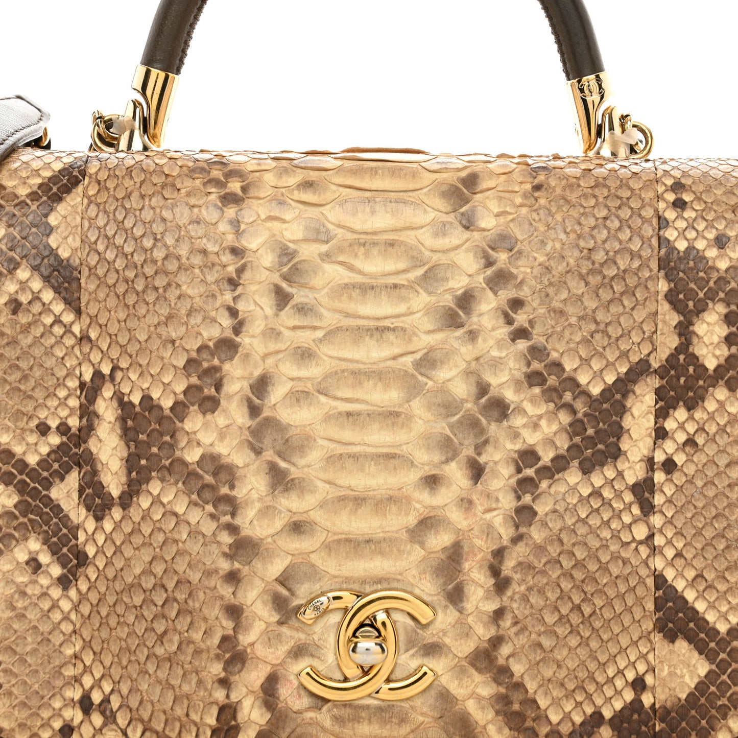 Snakeskin Metal Top Handle Carry Chic Flap