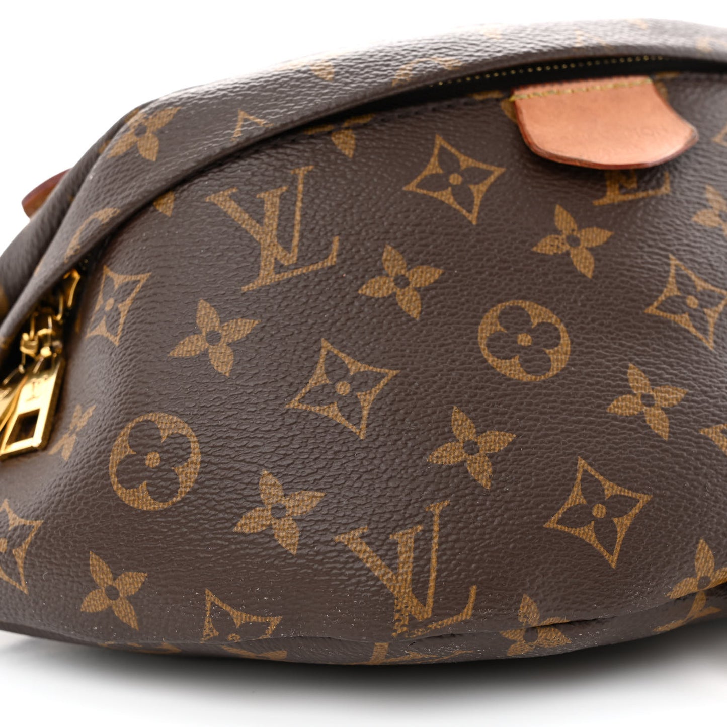 Monogram Bumbag