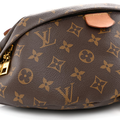 Louis Vuitton Monogram Bumbag 9 of 11
