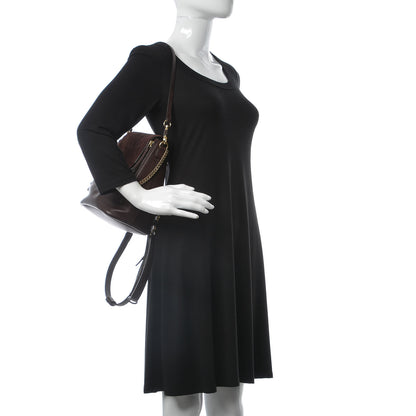 Chloe Suede Calfskin Small Faye Backpack Carbon Brown 3 of 19