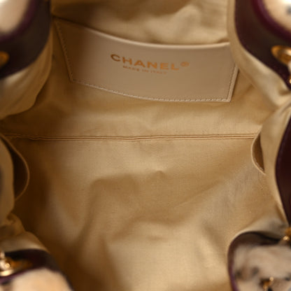 Chanel Pony Hair Mini Chanel 25 Handbag Beige Black 4 of 10