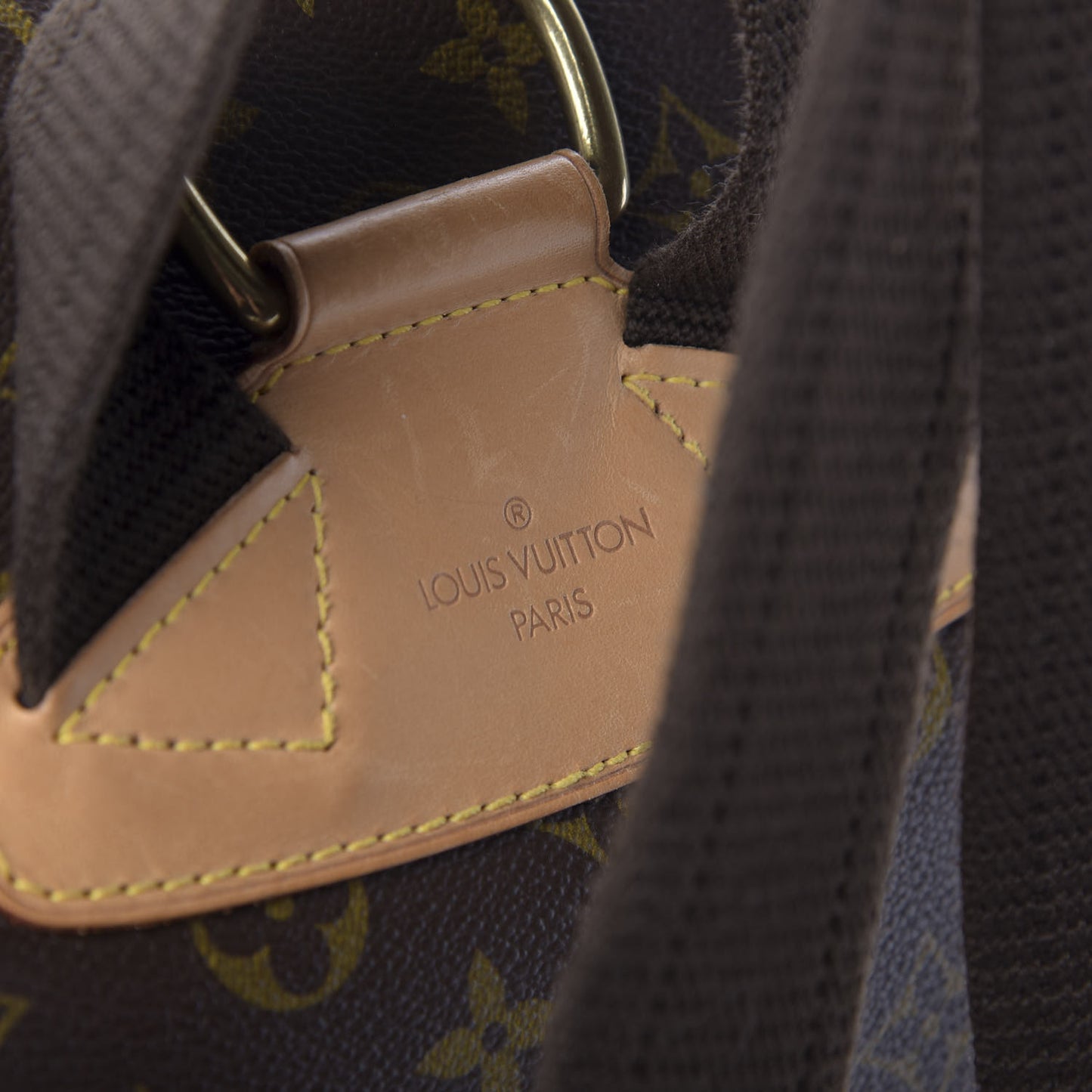 Monogram Montsouris GM Backpack