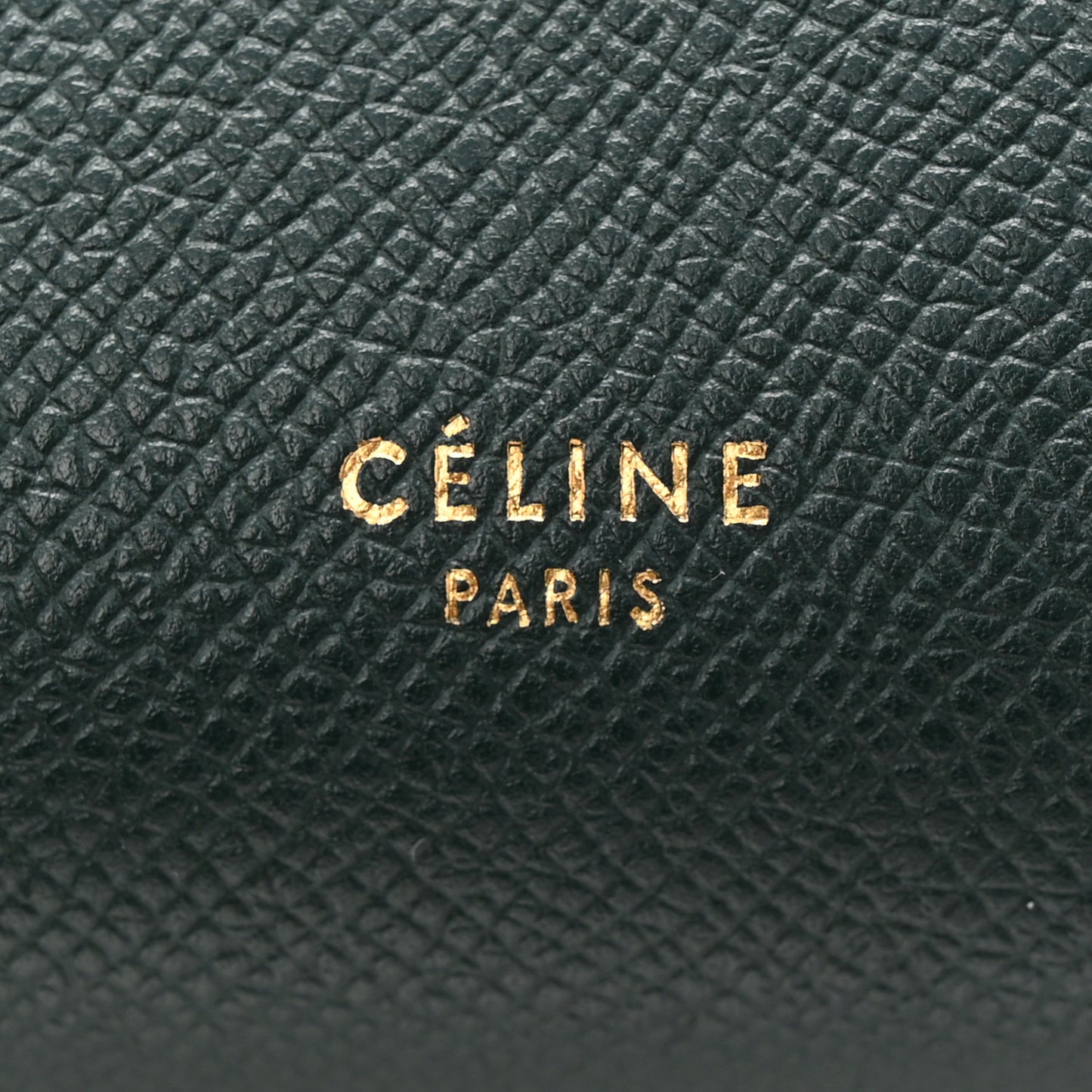 Grained Calfskin Micro Belt Bag Amazone