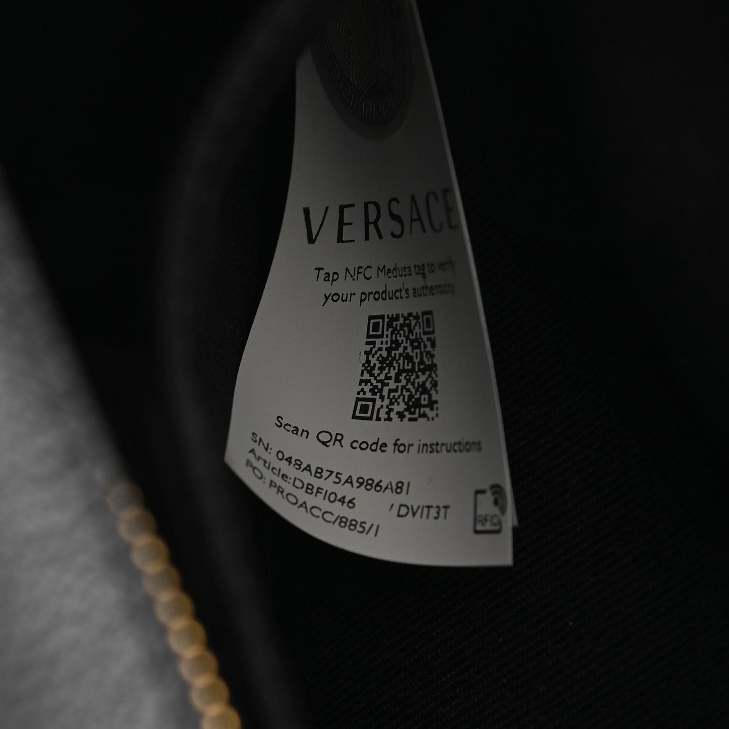 Grained Calfskin Medusa Camera Bag Black