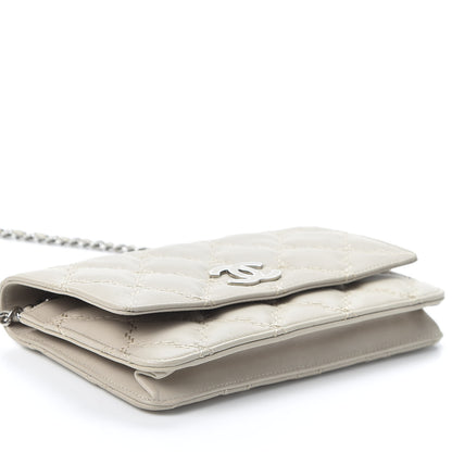 Chanel Calfskin Double Stitch Hamptons Wallet On Chain WOC Grey 3 of 10