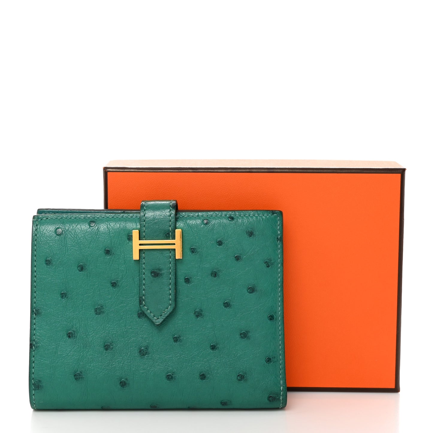 Ostrich Bearn Compact Wallet Vert Vertigo
