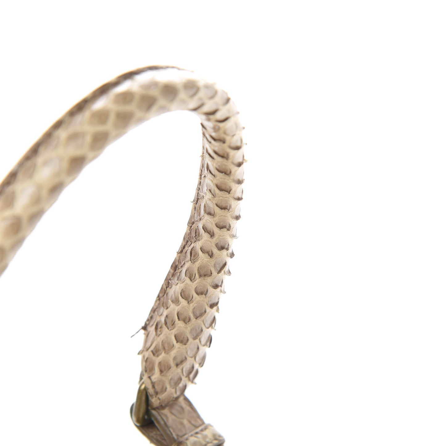 Snakeskin Montaigne Satchel Limo