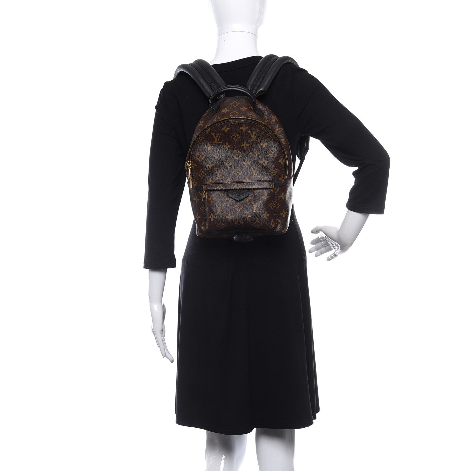 Louis Vuitton Monogram Palm Springs Backpack PM 2 of 8