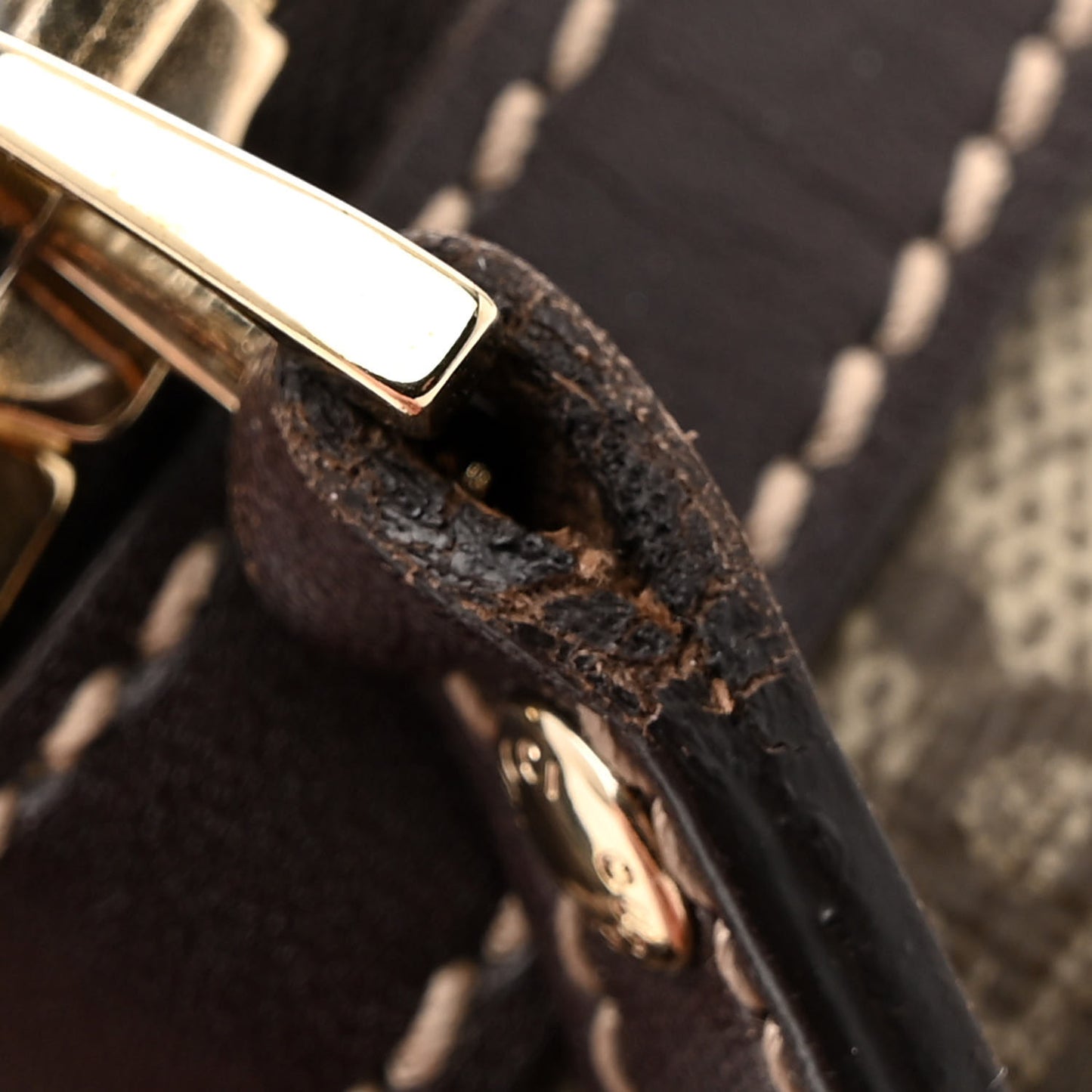 GG Supreme Monogram Belt Bag Dark Brown