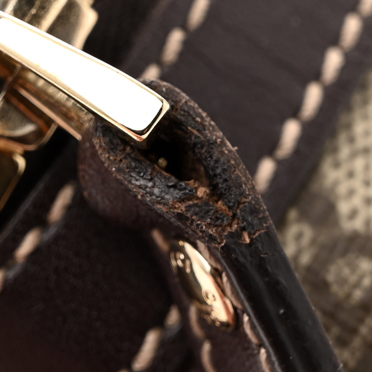 Gucci GG Supreme Monogram Belt Bag Dark Brown 12 of 13