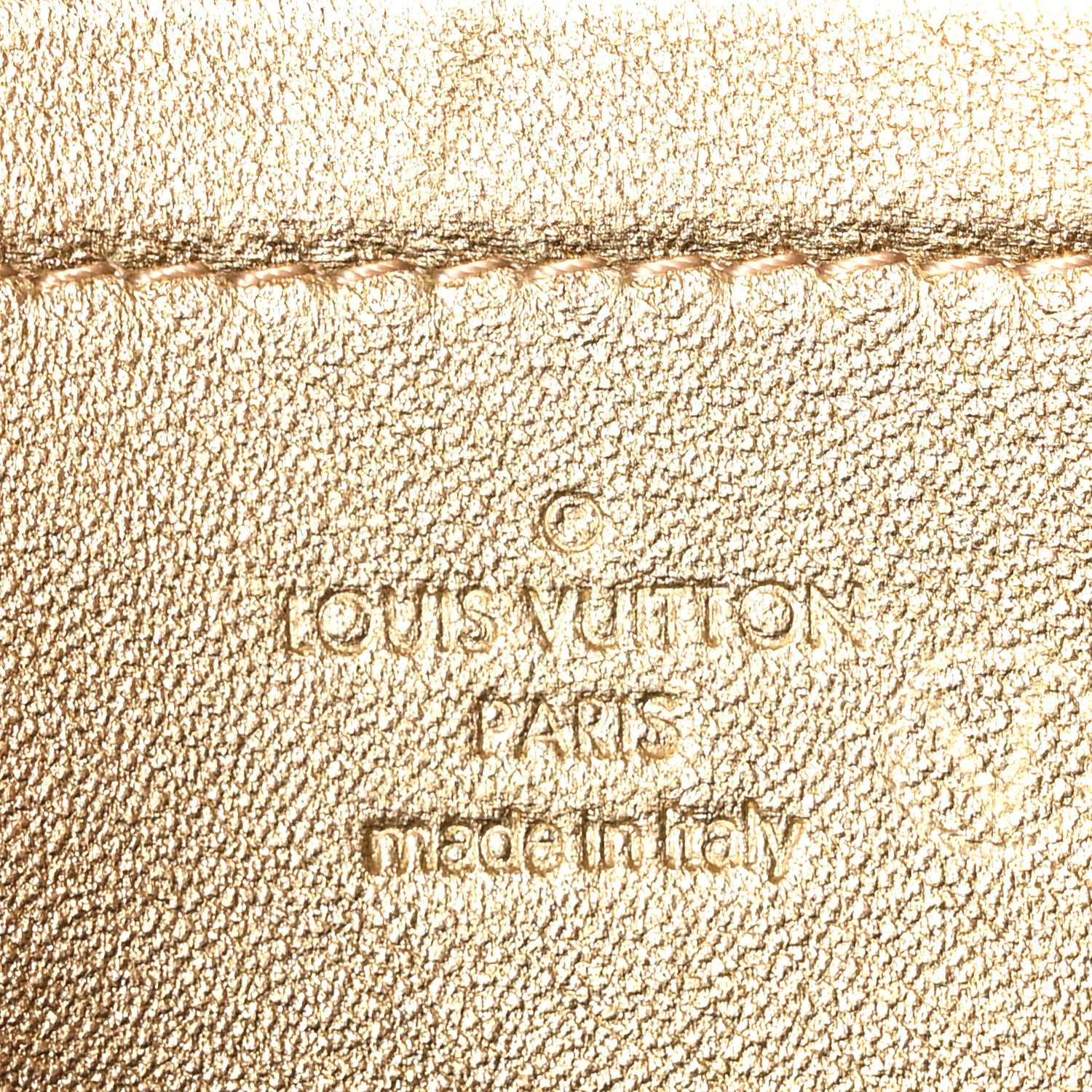 Louis Vuitton Metallic Lambskin Embossed Monogram Pochette Coussin Gold 6 of 9