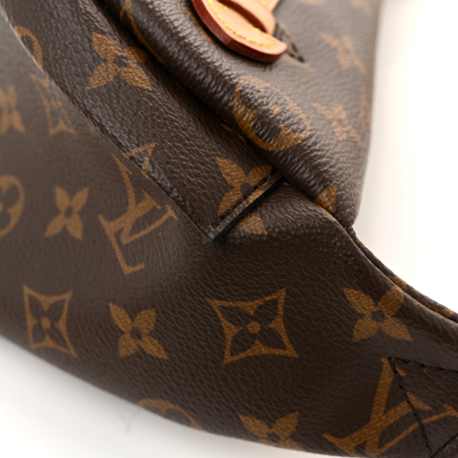 Louis Vuitton Monogram Bumbag 19 of 27