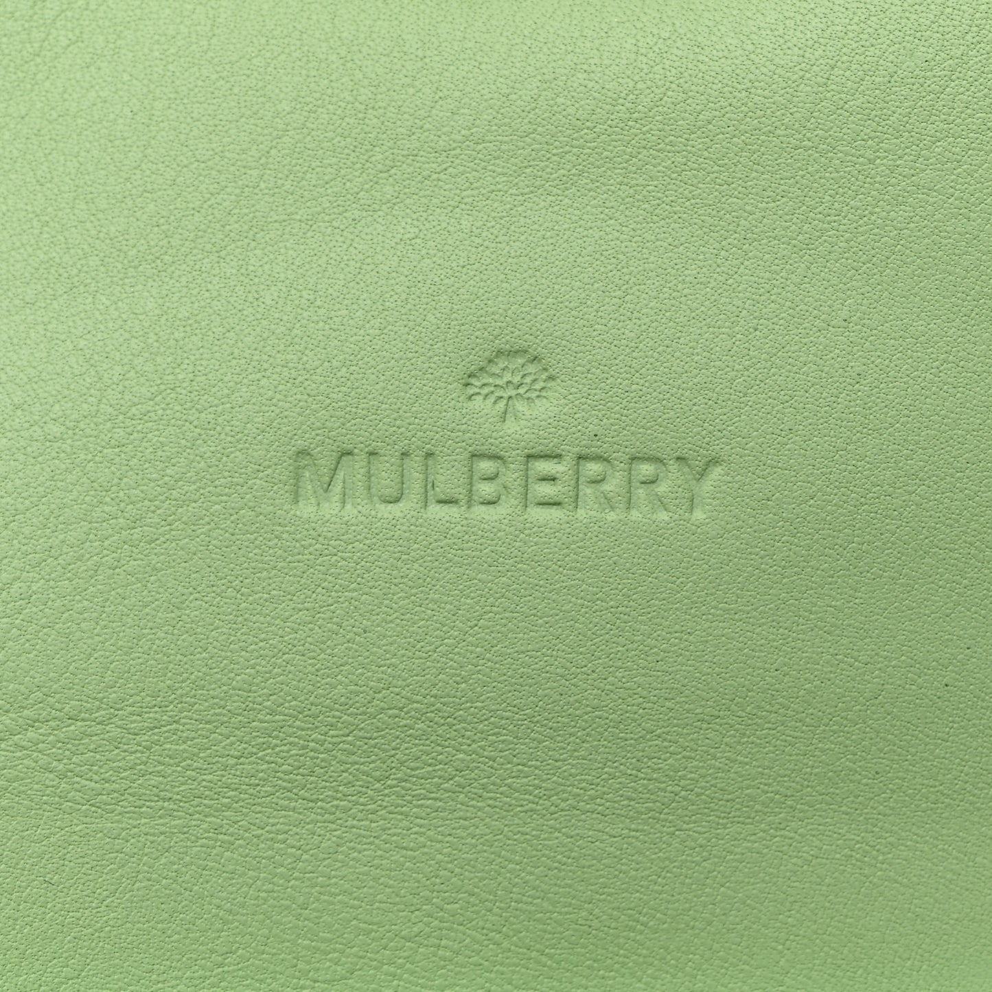 Silky Classic Calfskin Envelope Long Wallet Mint