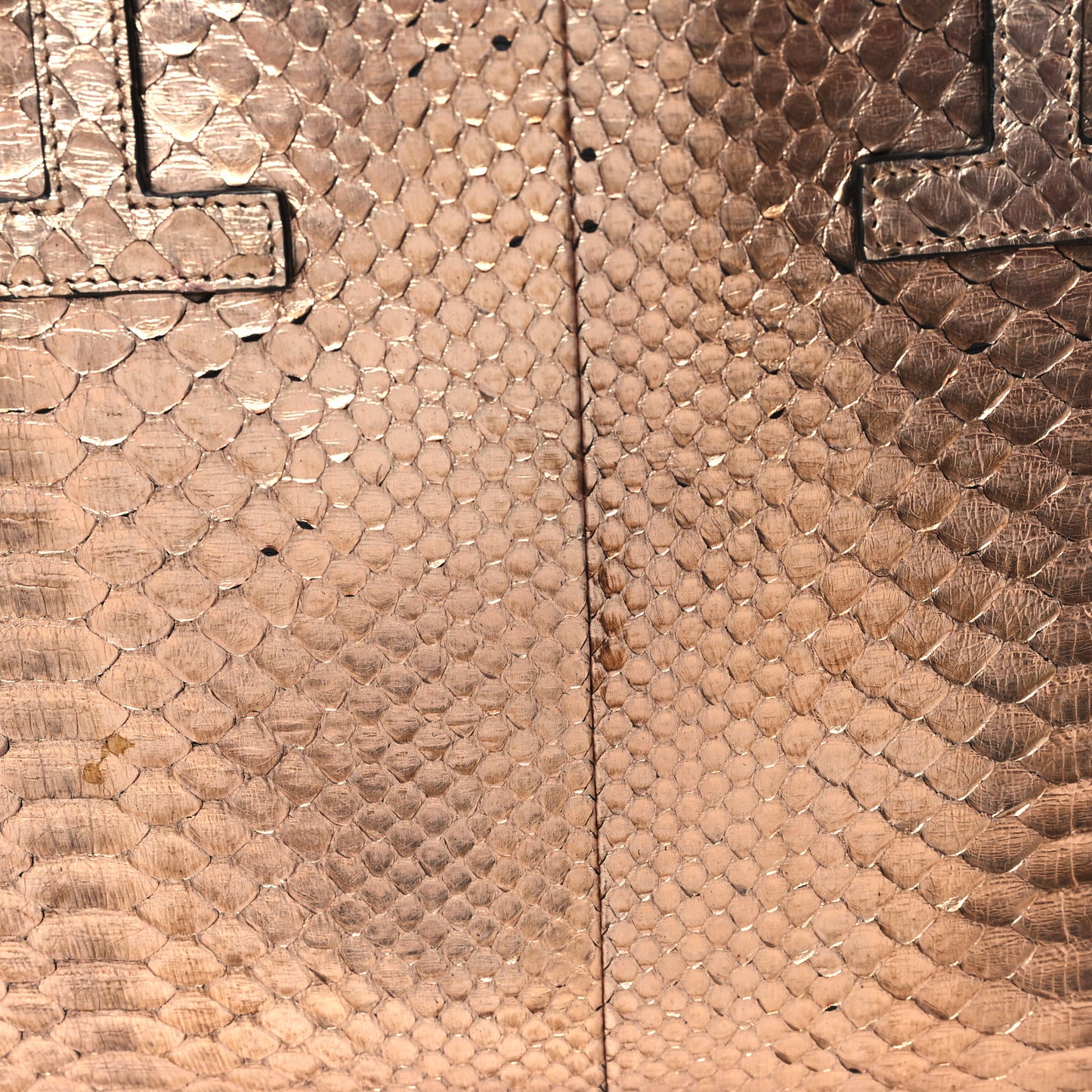 Metallic Snakeskin Small T Tote Gold