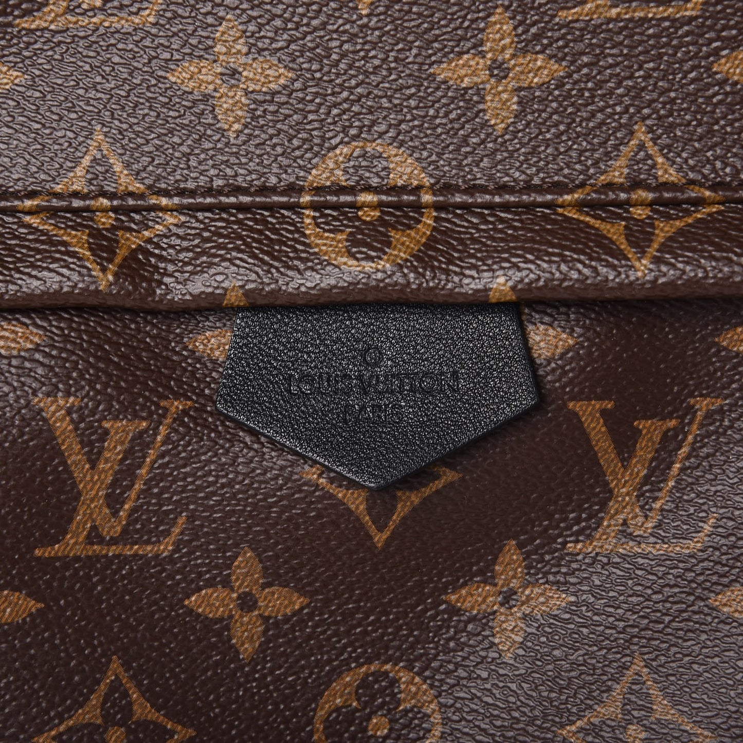 Monogram Palm Springs Backpack MM