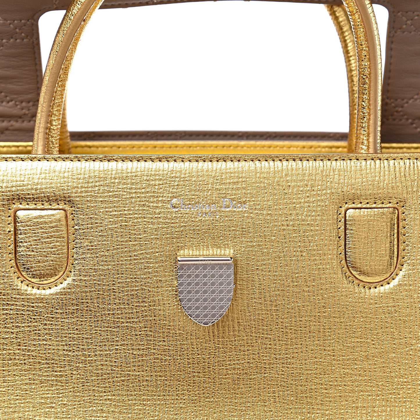 Metallic Goatskin Medium Diorever Flap Gold