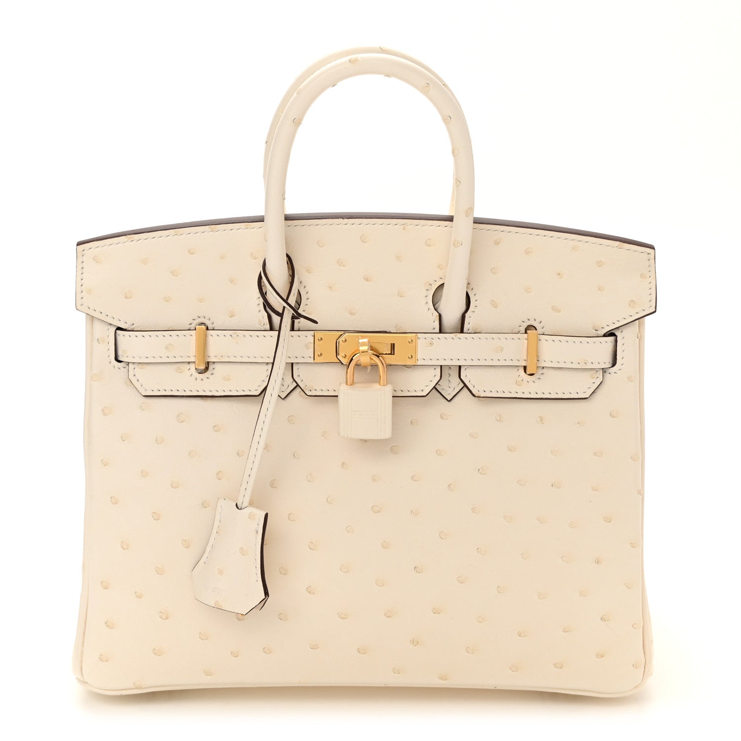 Hermes Ostrich Birkin 25 Nata 1 of 11