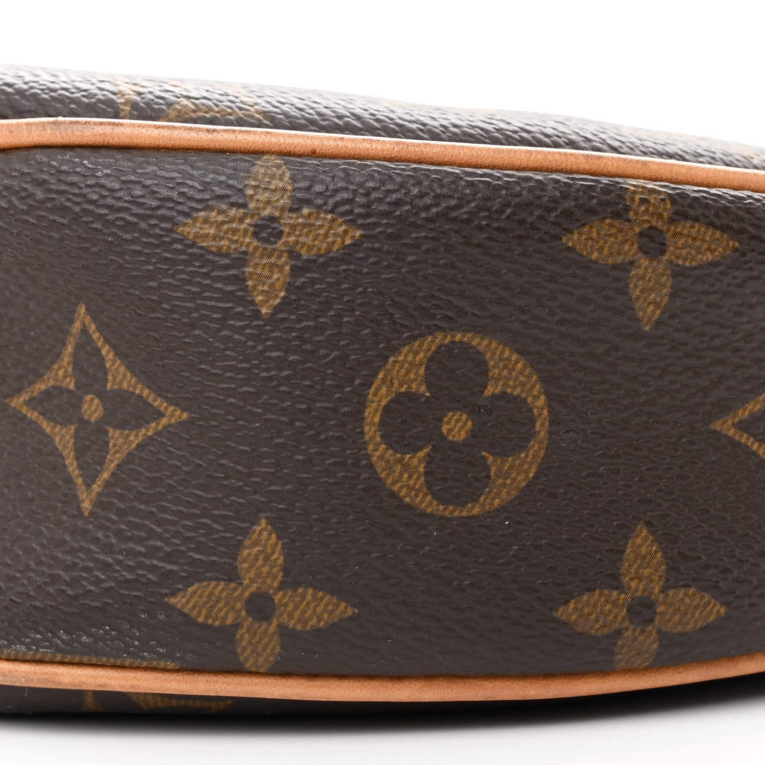 Louis Vuitton Monogram Loop 9 of 13