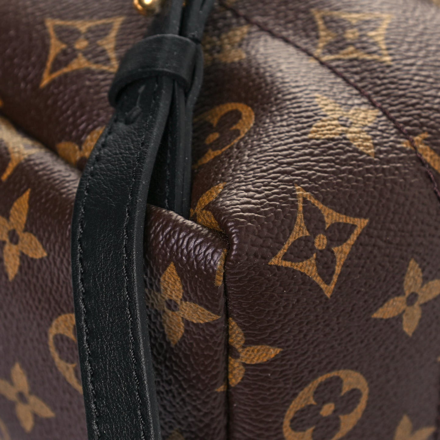 Monogram Palm Springs Backpack PM