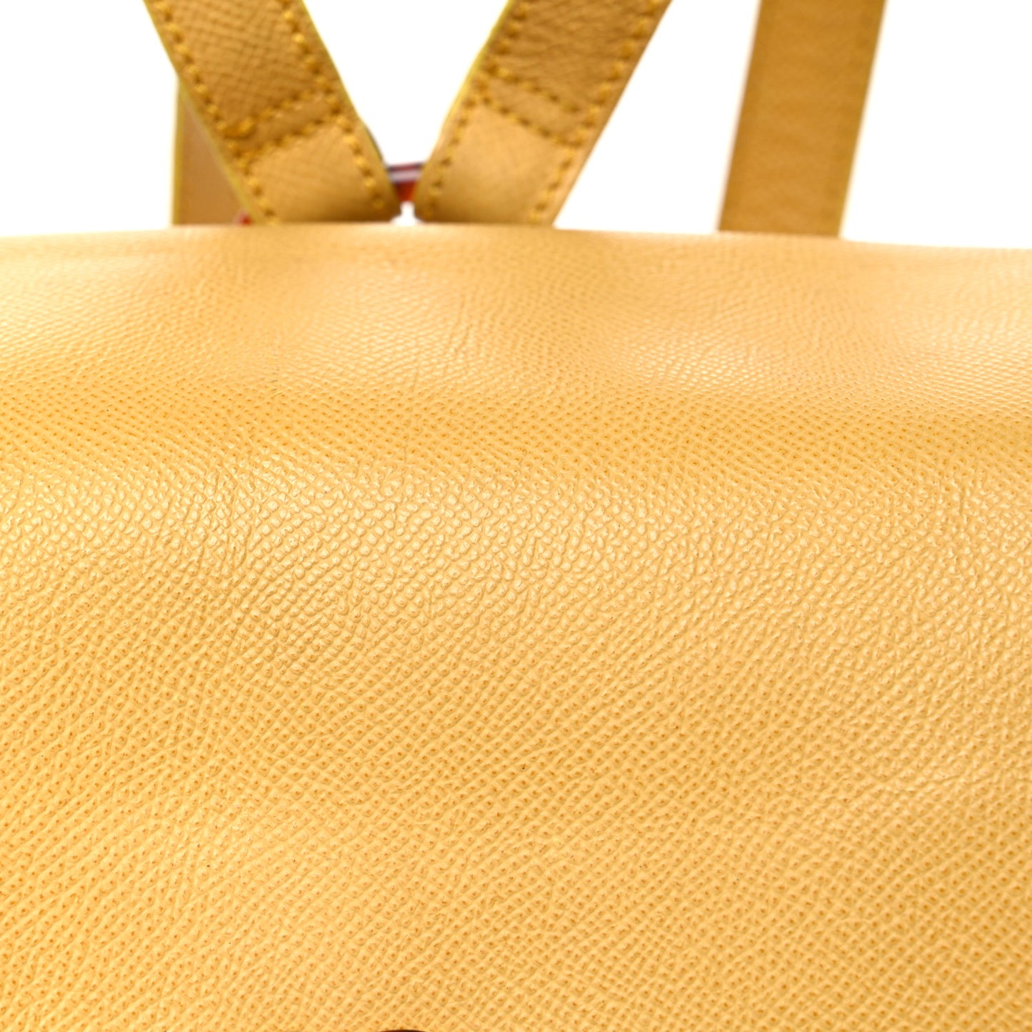 Caviar Tortoise CC Backpack Yellow