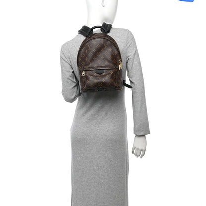 Louis Vuitton Monogram Palm Springs Backpack PM 2 of 11