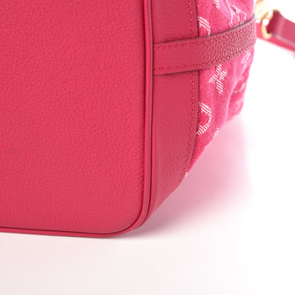Louis Vuitton Denim Noefull MM Rose Indien 11 of 11