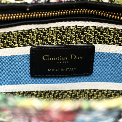 Christian Dior Canvas D-Constellation Embroidered Medium Lady D-Lite Latte Multicolor 10 of 24