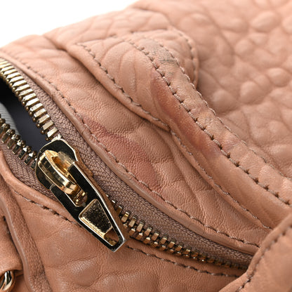 Alexander Wang Pebbled Lambskin Mini Rockie Latte Gold Hardware 12 of 14