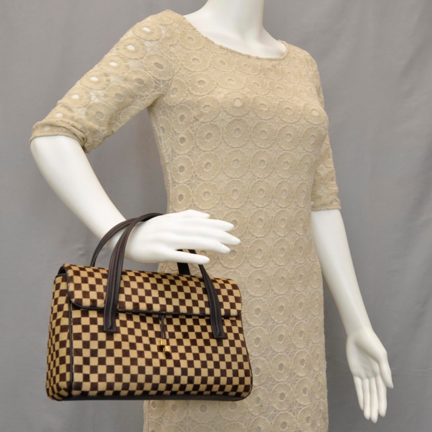 Louis Vuitton Damier Sauvage Lionne 2 of 9
