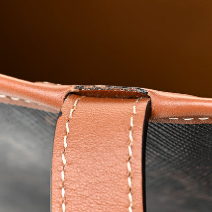 Celine Triomphe Canvas Calfskin Medium Cabas Bag Tan 16 of 19