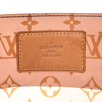 Louis Vuitton Vinyl Cabas Sac Ambre GM 6 of 19