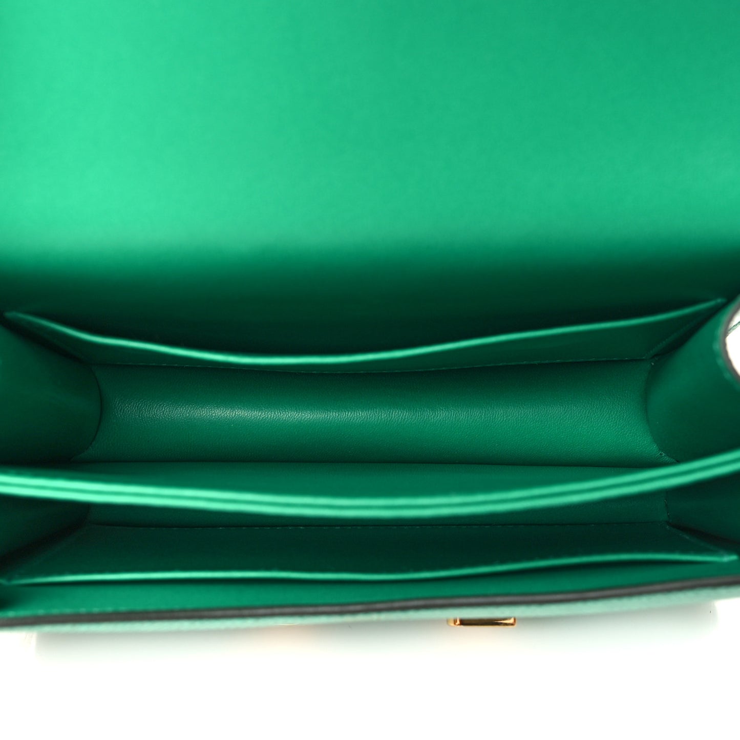 Lizard Constance 18 Menthe
