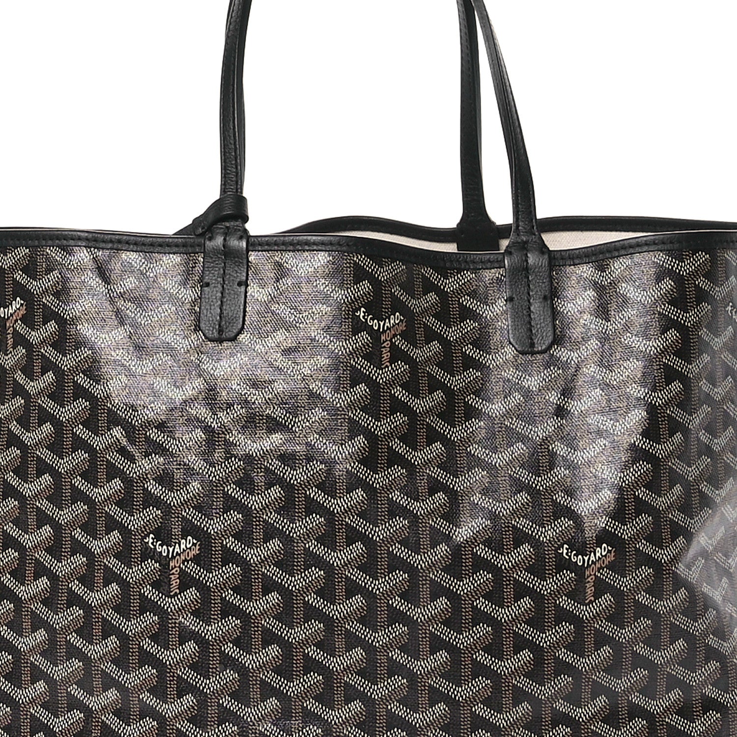 Goyard Goyardine Saint Louis PM Black 8 of 10