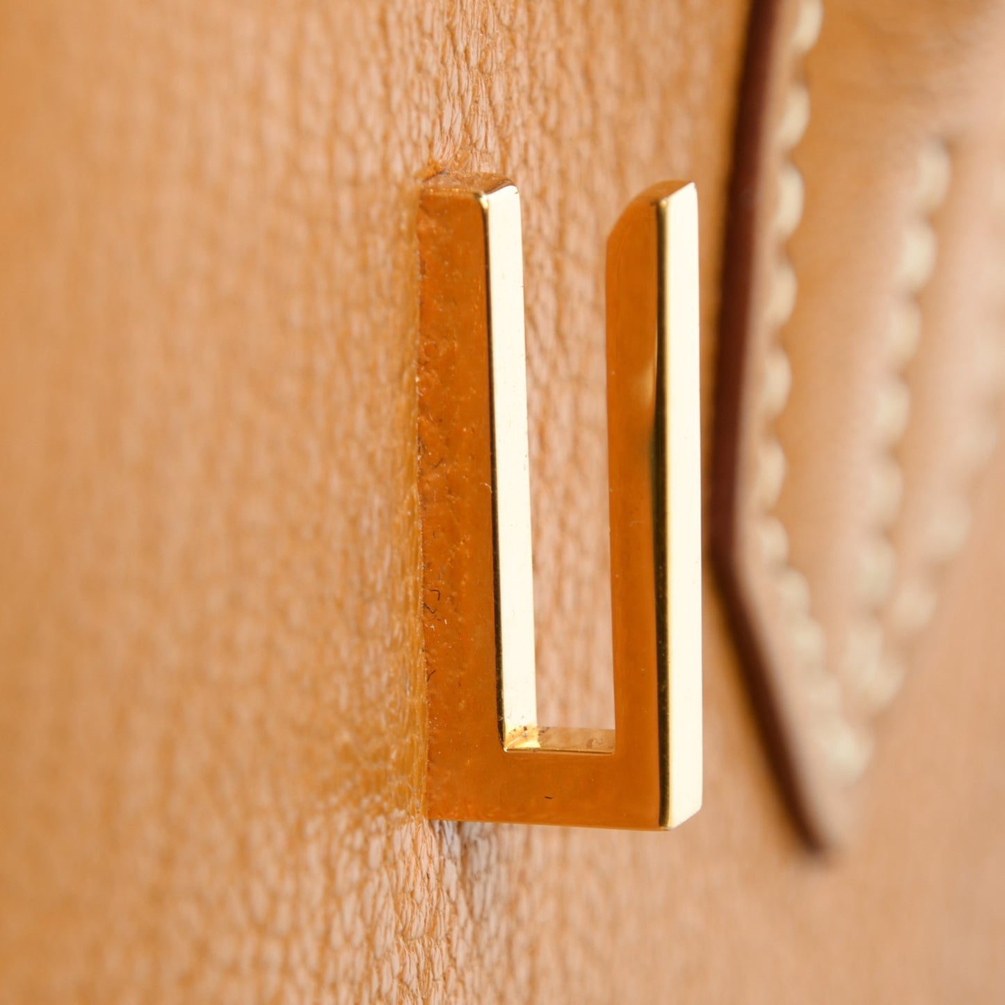 Chevre De Coromandel Birkin 35 Caramel