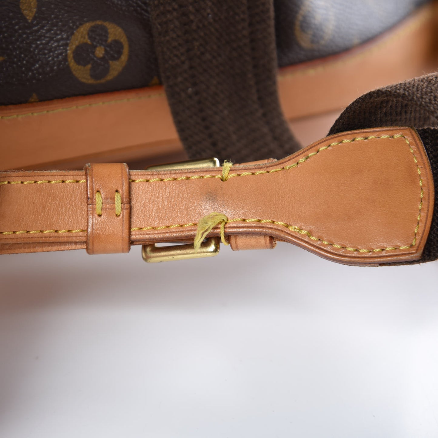 Monogram Montsouris GM Backpack